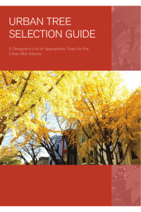 urban tree selection guide