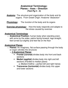 Unit 1 Notes - Intro and Skeletal System