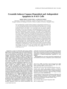 Ceramide Induces Caspase-Dependent and