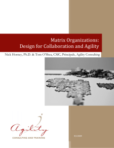 Matrix Organizations: Design for Collaboration
