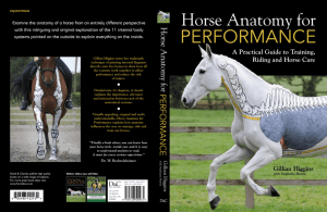 Book Extract From Horse Anatomy for