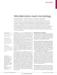 Microfabrication meets microbiology