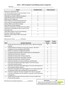 Rubric – APES Everglades Food Webbing Summer Assignment