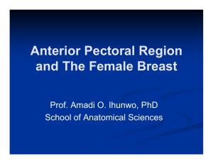 Anterior Pectoral Region and The Female Breast