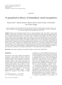 A quantitative theory of immediate visual recognition