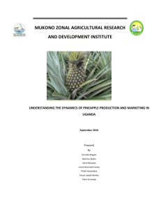 PMCA Pineapple project final report