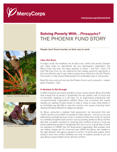 the phoenix fund story