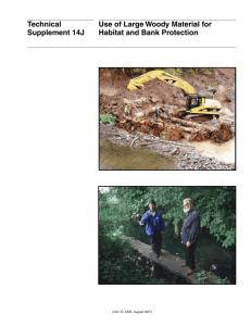 Use of Large Woody Material for Habitat and Bank Protection
