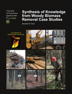 Synthesis of Knowledge from Woody Biomass