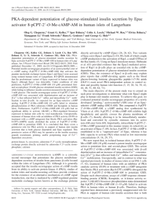 PKA-dependent potentiation of glucose