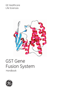 GST Gene Fusion System - GE Healthcare Life Sciences