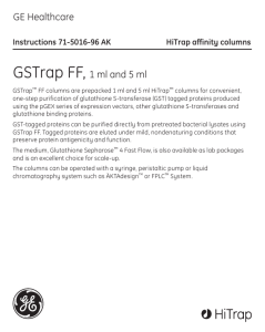 GE Healthcare GSTrap FF, 1 ml and 5 ml