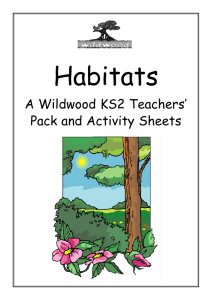 Habitats - Wildwood Trust