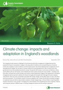 Climate change: impacts and adaptation in England's woodlands