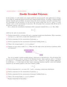 Double Stranded Polymers