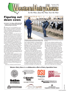 Figuring out down cows - Colorado State University