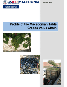 Table Grape Profile Value Chain