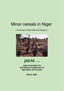 Minor cereals in Niger pdf