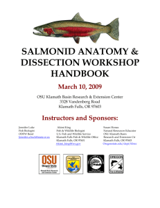 Fish Dissection Handbook - Oregon State University