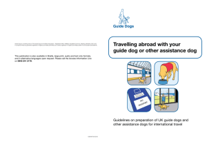 Travelling abroad with your guide dog or other assistance dog