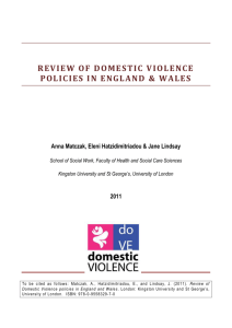 Review of domestic violence policies in