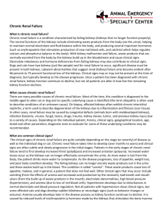 Chronic Renal Failure