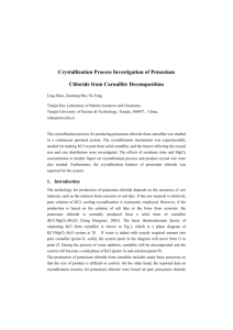 Crystallization Process Investigation of Potassium Chloride