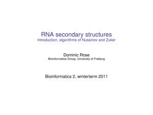 RNA secondary structures Introduction, algorithms of Nussinov and