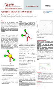 RNAcofold, folding of 2 RNA Molecules, GEN-AU 04