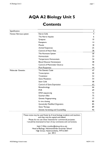 Unit 5 Notes - heckgrammar.co.uk