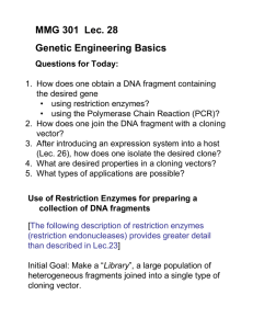 MMG 301 Lec. 28 Genetic Engineering Basics