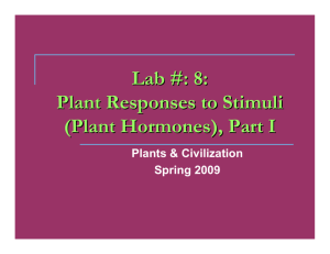 Lab #: 8: Plant Responses to Stimuli (Plant Hormones), Part I