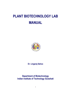 plant biotechnology lab manual