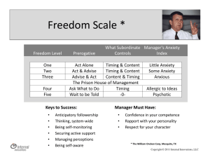 Freedom Scale - Internal Innovations