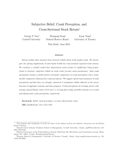 Subjective Belief, Crash Perception, and Cross&Sectional Stock