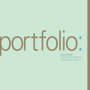 portfolio (pdf file - Smart Giving Strategies