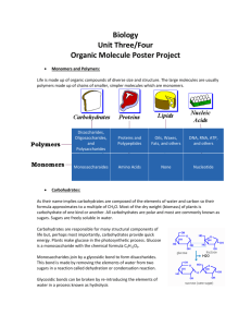 Biology Unit Three/Four Organic Molecule Poster Project