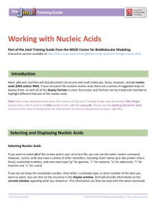 Working with Nucleic Acids - MSOE Center for BioMolecular Modeling