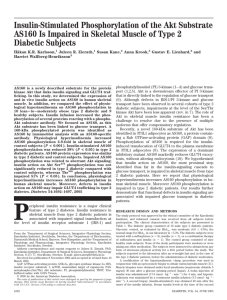 Insulin-Stimulated Phosphorylation of the Akt Substrate