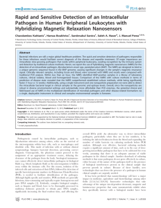 Rapid and Sensitive Detection of an Intracellular