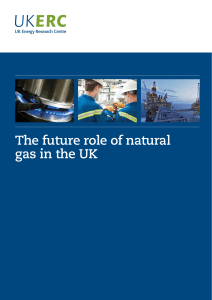The future role of natural gas in the UK