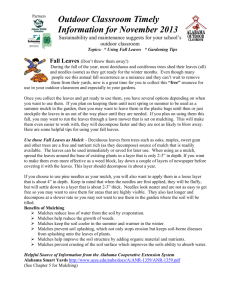 November's Timely Info- Composting Fall Leaves & Planting Bulbs