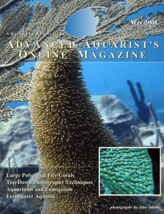 Advanced Aquarist's Online Magazine