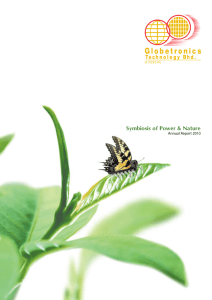 Globetronics Annual Report 2010