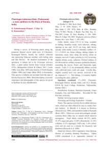 Flemingia tuberosa Dalz. - Journal of Threatened Taxa