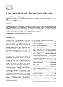 A new species of Rotala (Lythraceae) from Kerala, India