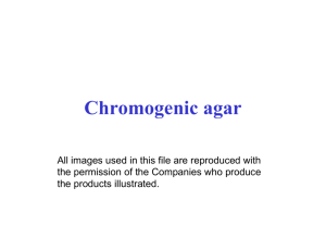 Chromogenic agar