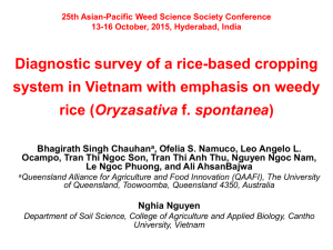 Diagnostic survey of a rice-based cropping system in