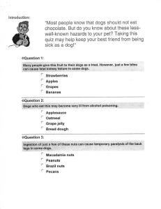 "Most people know that dogs should not eat chocolate. But do you