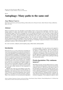 Autophagy: Many paths to the same end